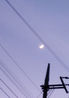 キノコさんとmiinaさんのファンアートイラスト部屋