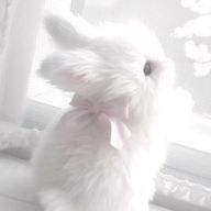 mさんのアイコン画像
