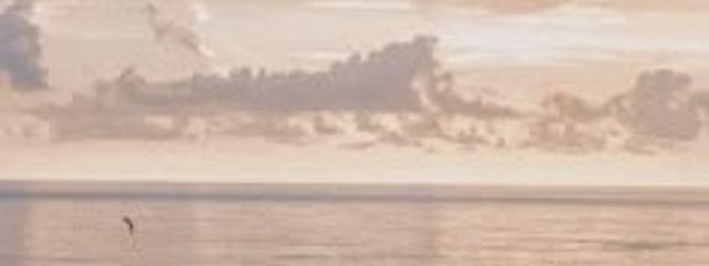 榊さんの壁紙画像