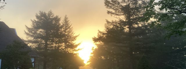 ちぎさんの壁紙画像