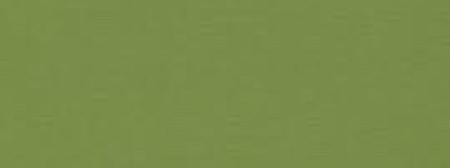 緑雨音 おとは 🕊️さんの壁紙画像