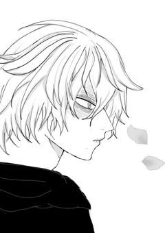 散りゆく花と崩壊