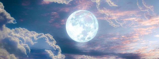 まるさんの壁紙画像