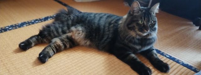 Ｋさんの壁紙画像