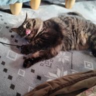 Ｋさんのアイコン画像