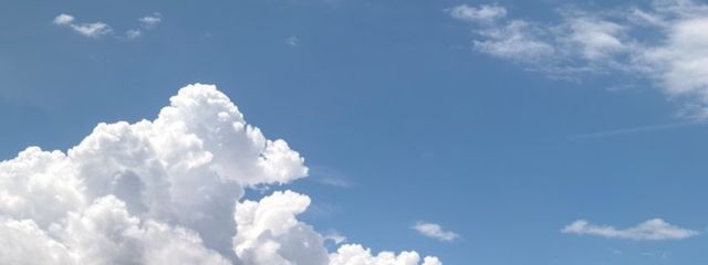 ゆうさんの壁紙画像