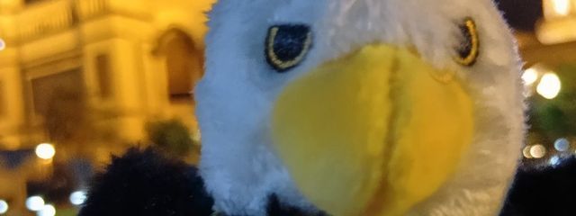 まぐにちゅぅど🍏さんの壁紙画像