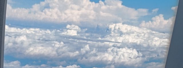 世依奈（せいな）さんの壁紙画像