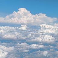 世依奈(せいな)さんのアイコン画像