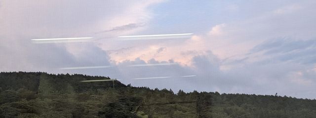 御茶葉 薬菜　/　薬品猫さんの壁紙画像