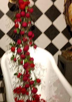 わーい暇☆てことで私にもし妹or弟ができたら私どんな感じか書くにょ