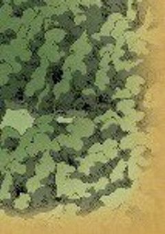 極悪2人のトランプ兵