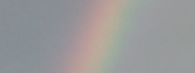 さめ⭐️🌙さんの壁紙画像