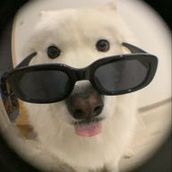 NIKO【暇人】@スト担@不定期投稿さんのアイコン画像