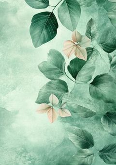 男子恐怖症なの!!