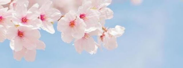 ♡Ｍｉｙｕ♡さんの壁紙画像