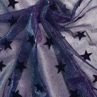 Aoiさんのアイコン画像