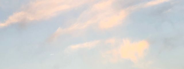 あおさんの壁紙画像