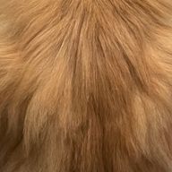 りーさんのアイコン画像