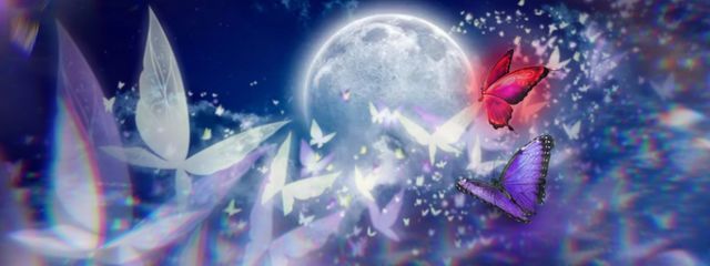蝶々さんの壁紙画像