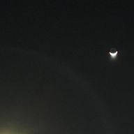 みんと（さぶ）さんのアイコン画像