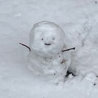 女々さんのアイコン画像