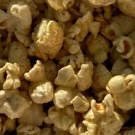 🎈さんのアイコン画像