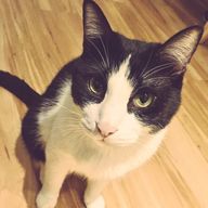 ゆちさんのアイコン画像