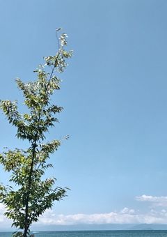 イラコン！！ 〔〆〕