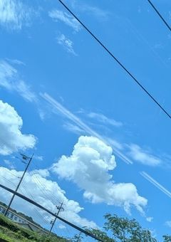 氷解 - 義勇、忘却の彼方へ