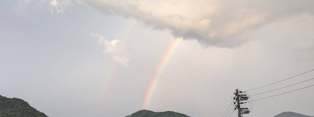 ラテ@低浮上さんの壁紙画像