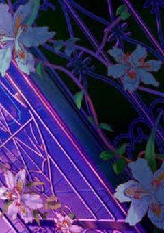 絵本  人柱アリス【ワンダーランズ×ショウタイム】