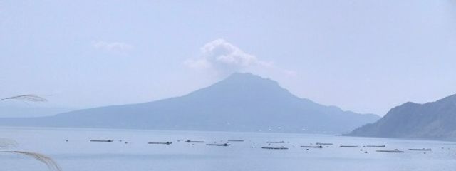 私利私欲パセリさんの壁紙画像