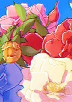❥ホストとVTuber
