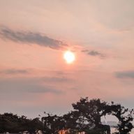 藍夏(あいか)さんのアイコン画像