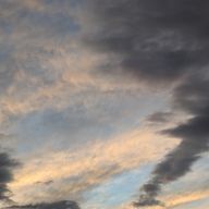 はっちー.第3世代さんのアイコン画像