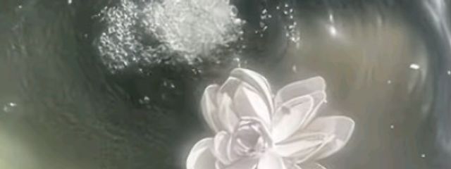 Culumi .さんの壁紙画像
