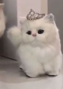 激重愛情向けられてます。