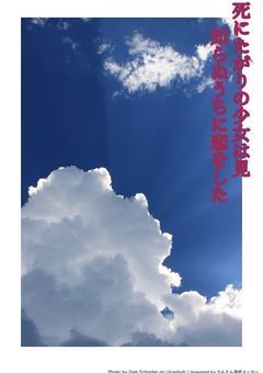 死にたがりの少女は見知らぬうちに恋をした