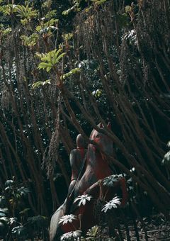 歯車に葉が絡み、そして狂う。