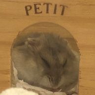 かふぇらてさんのアイコン画像