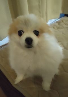 色々
