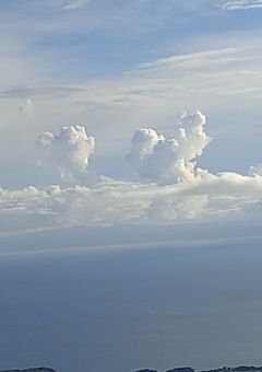 どりすた🐿(Dream  of  starry night)