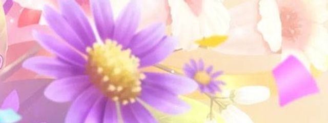 瑠衣(関口)さんの壁紙画像