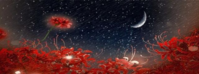 星宮ツキさんの壁紙画像