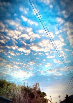 写真の加工のご依頼