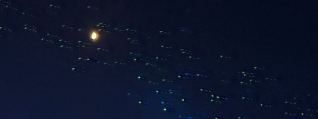 蘇鶴　蓮さんの壁紙画像