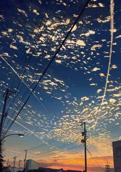 🍏学園！(🍏と青春をしよう
