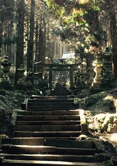 幻想の世界へ、兄弟と共に迷い込んだ【〆切】