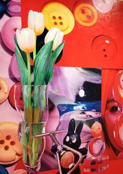 寵愛―RIIZE短編集―